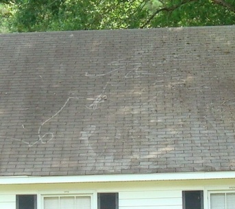 Wrong way to clean black streaks off roof!